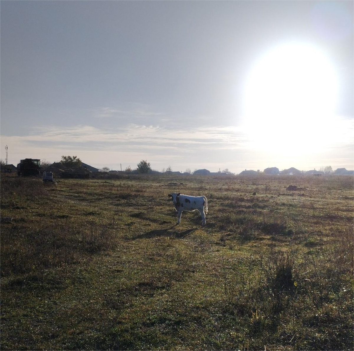 Фото Татьяны Руденко