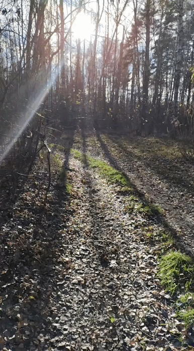 Фото Татьяны Руденко