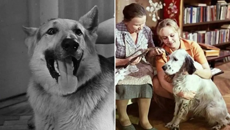 Источник: Life.ru