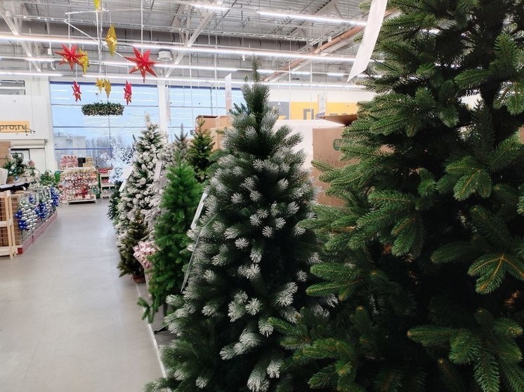     Поливинилхлорид (ПВХ), который входит в состав материалов для изготовления елки, содержит опасные для здоровья компоненты. Фото: «МК в Великом Новгороде»