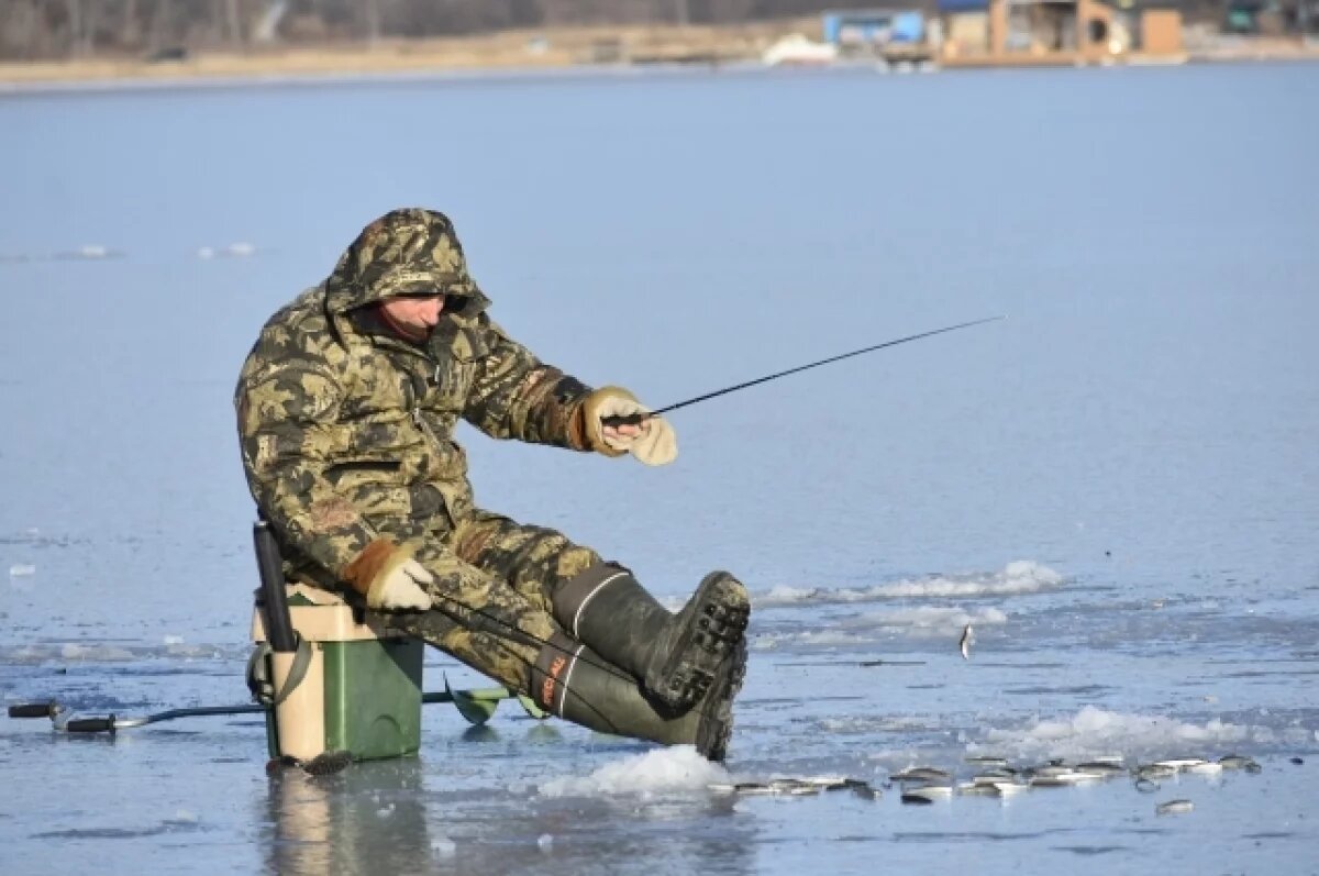    В Тверской области рыбакам рассказали о толщине льда на водоёмах