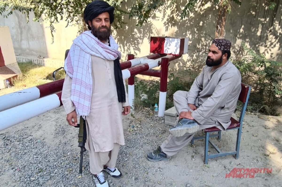    ГД приняла закон, позволяющий исключить «Талибан» из списка террористов