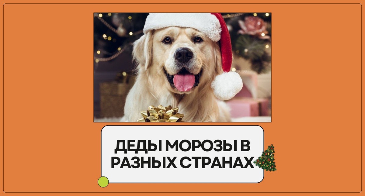Изобаржение: Family English