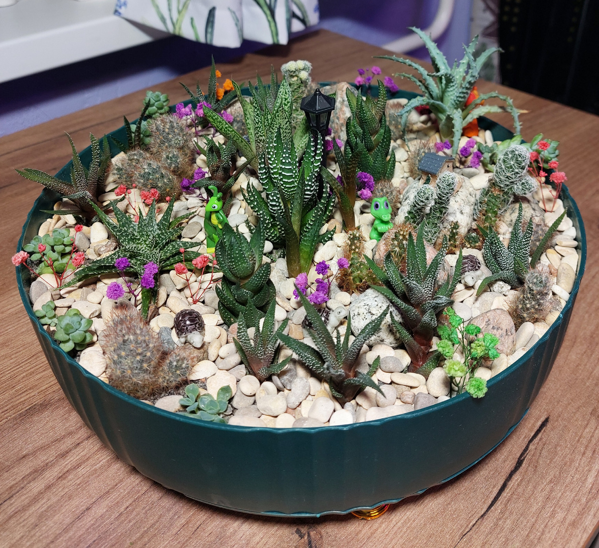 Суккулентное безобразие)