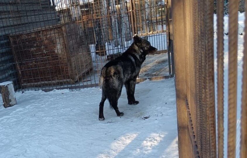    Фото: Росприроднадзор