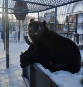    Фото: Росприроднадзор