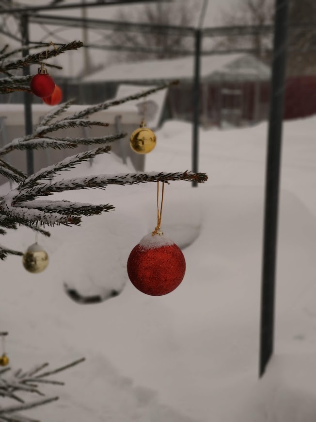 Фотки прошлых лет