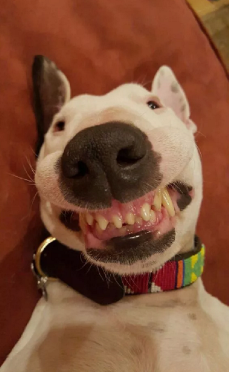 -Я не Ватрушка! Я - мамин пирожочек!