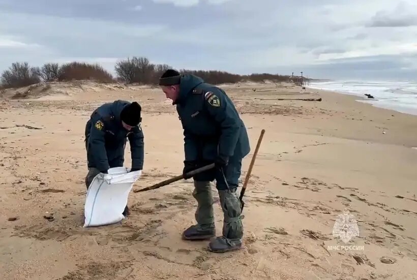     © РИА Новости. МЧС РФ