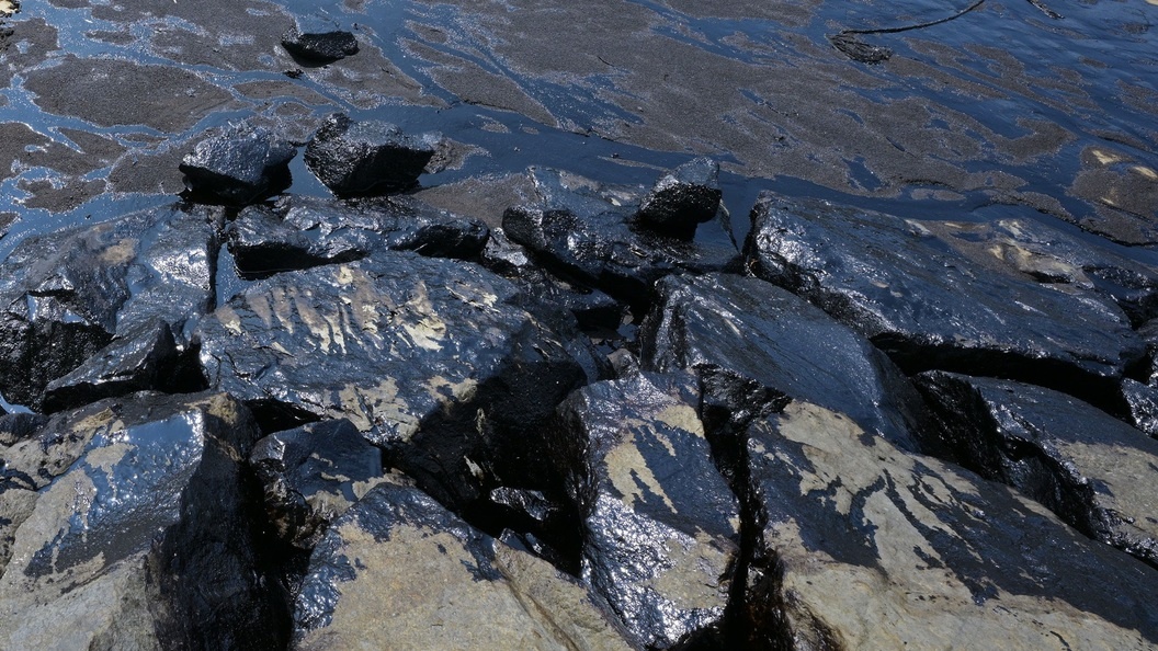    Фото: Then Chih Wey/Globallookpress