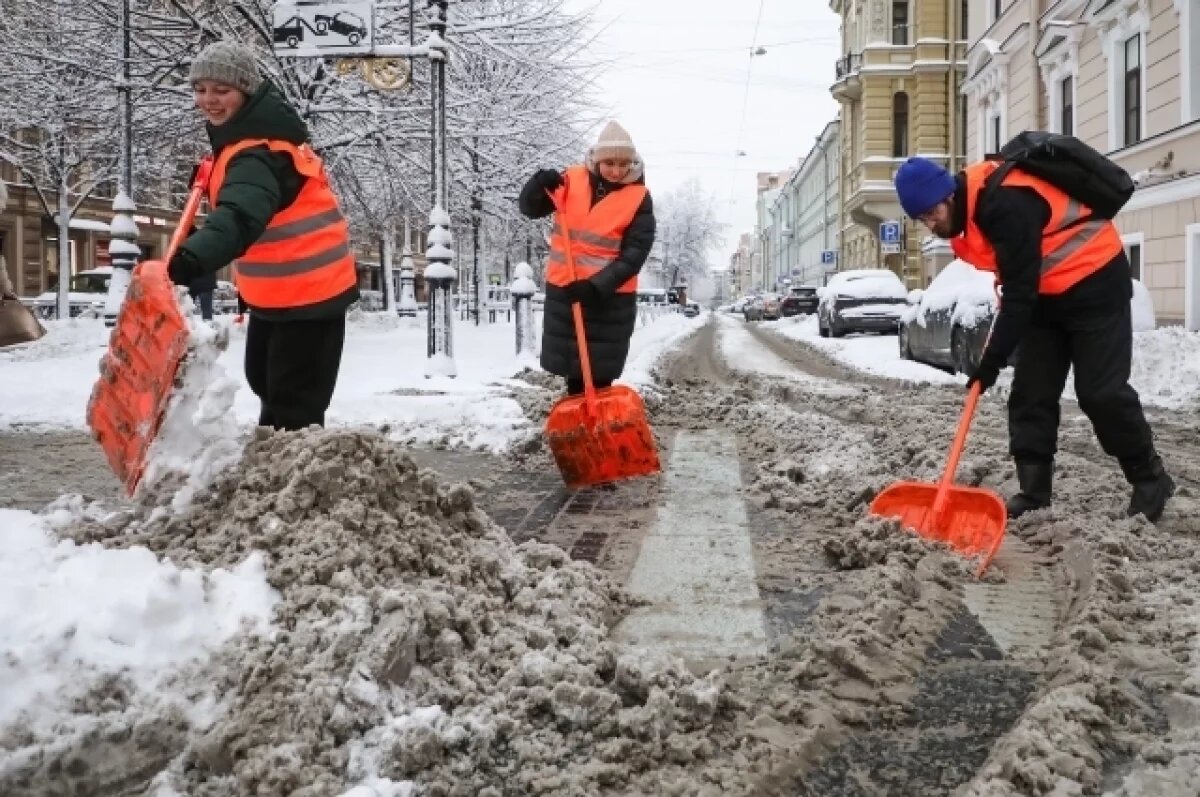    Студентам предложили подзаработать на уборке снега в Петербурге