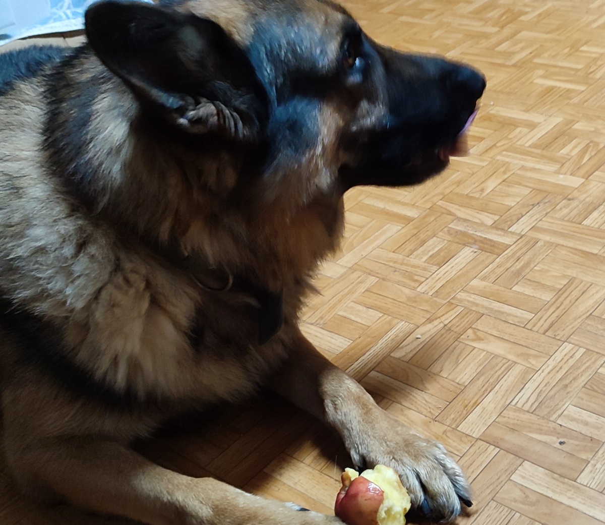 Ну раз у вас больше ничего нет, буду есть яблоки. 