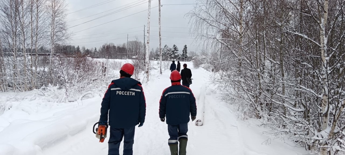    Фото: Россети