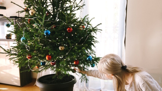    Сахар и песок: как заставить живую елку простоять дольше Татьяна Сидорова