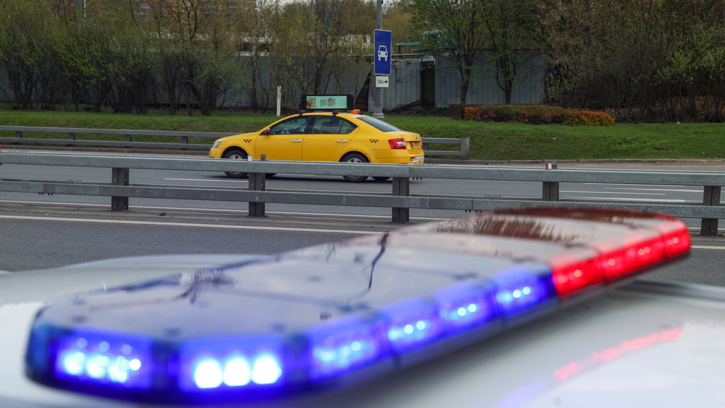    фото: Petrov Sergey/news.ru