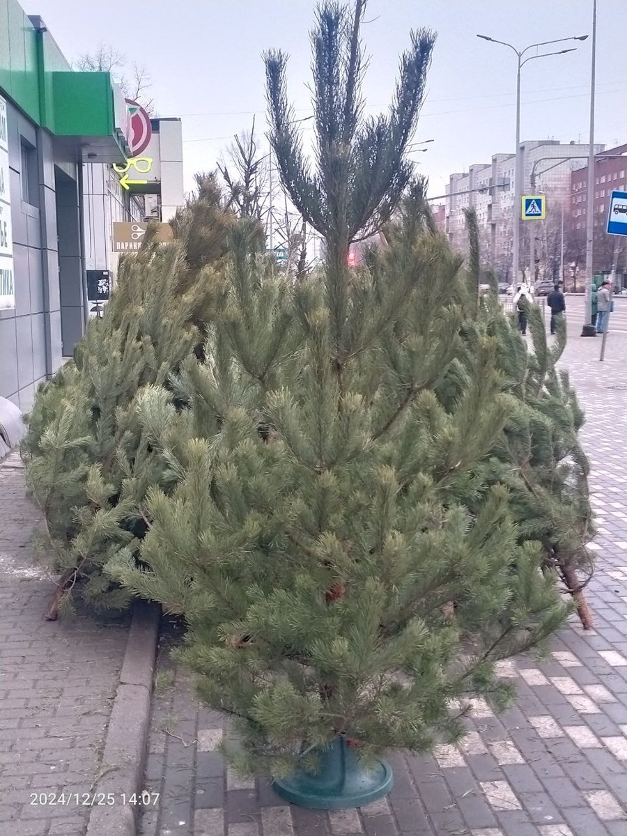 Фотография автора