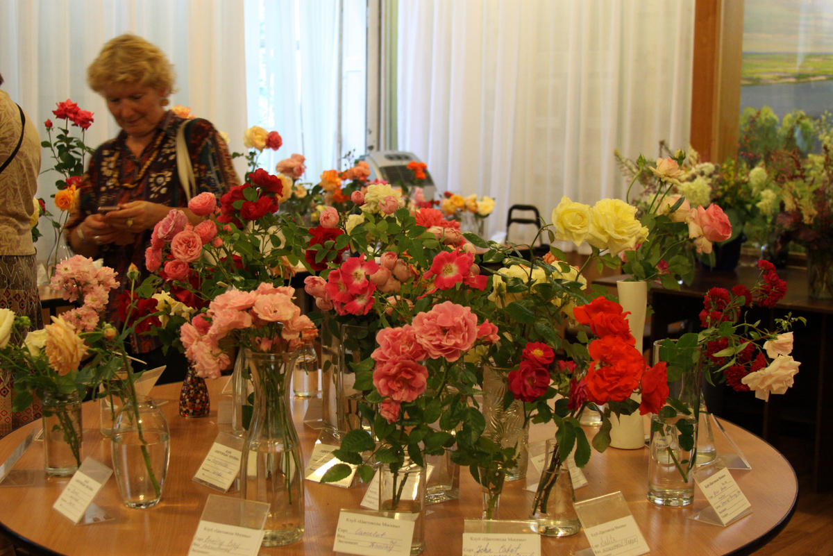 Фотографии с выставок Розы разных лет