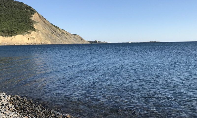    Фото «Кубань 24»