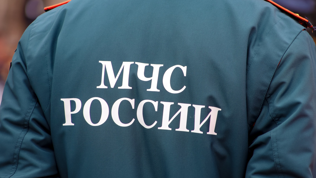    фото: Elena Mayorova/Global Look Press