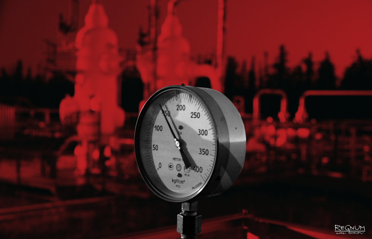     / Источник: Иван Шилов © ИА REGNUM