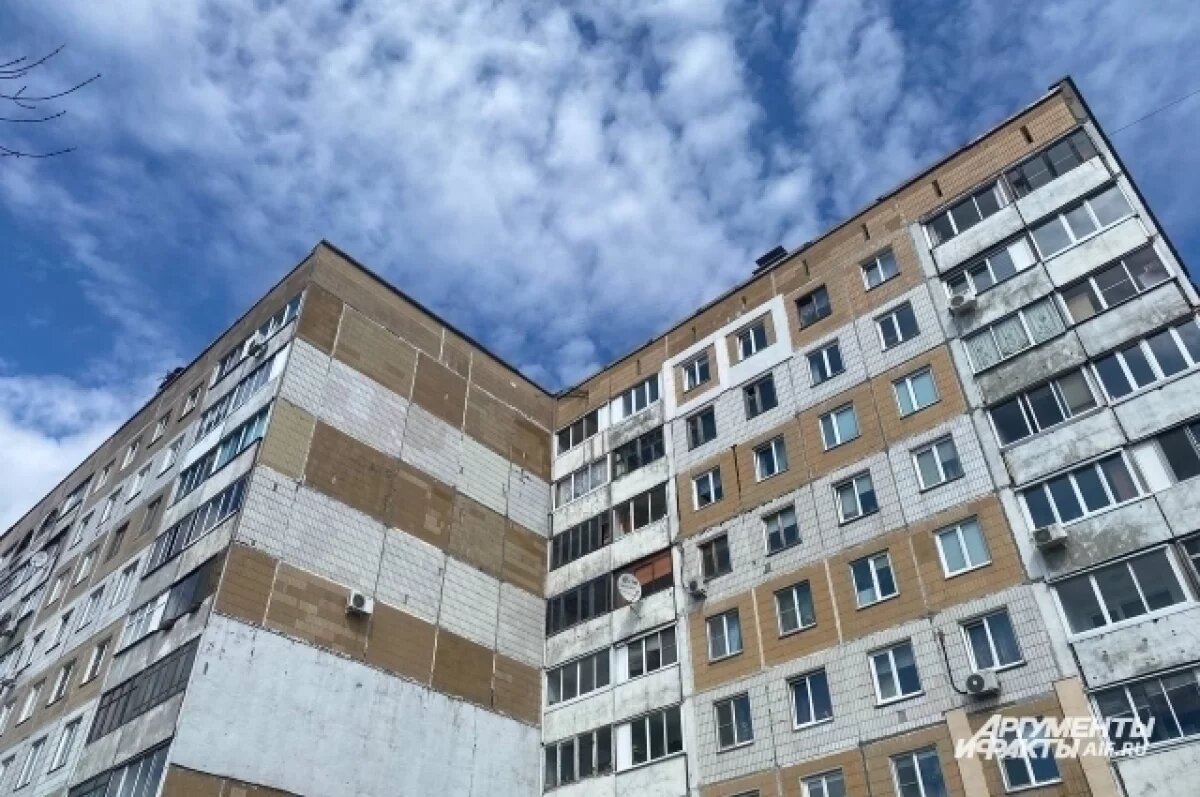    Жительница Кольчугино выбросила собаку с балкона на глаза у ребенка