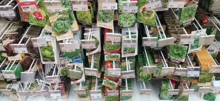    Хранение семян дома и что надо об этом знать