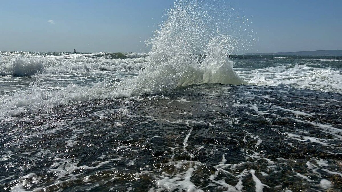    Фото: телеканал «Краснодар»