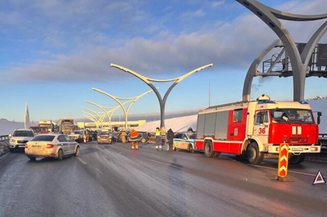    Фото: Пресс-служба ГУ МВД России по Петербургу и Ленобласти