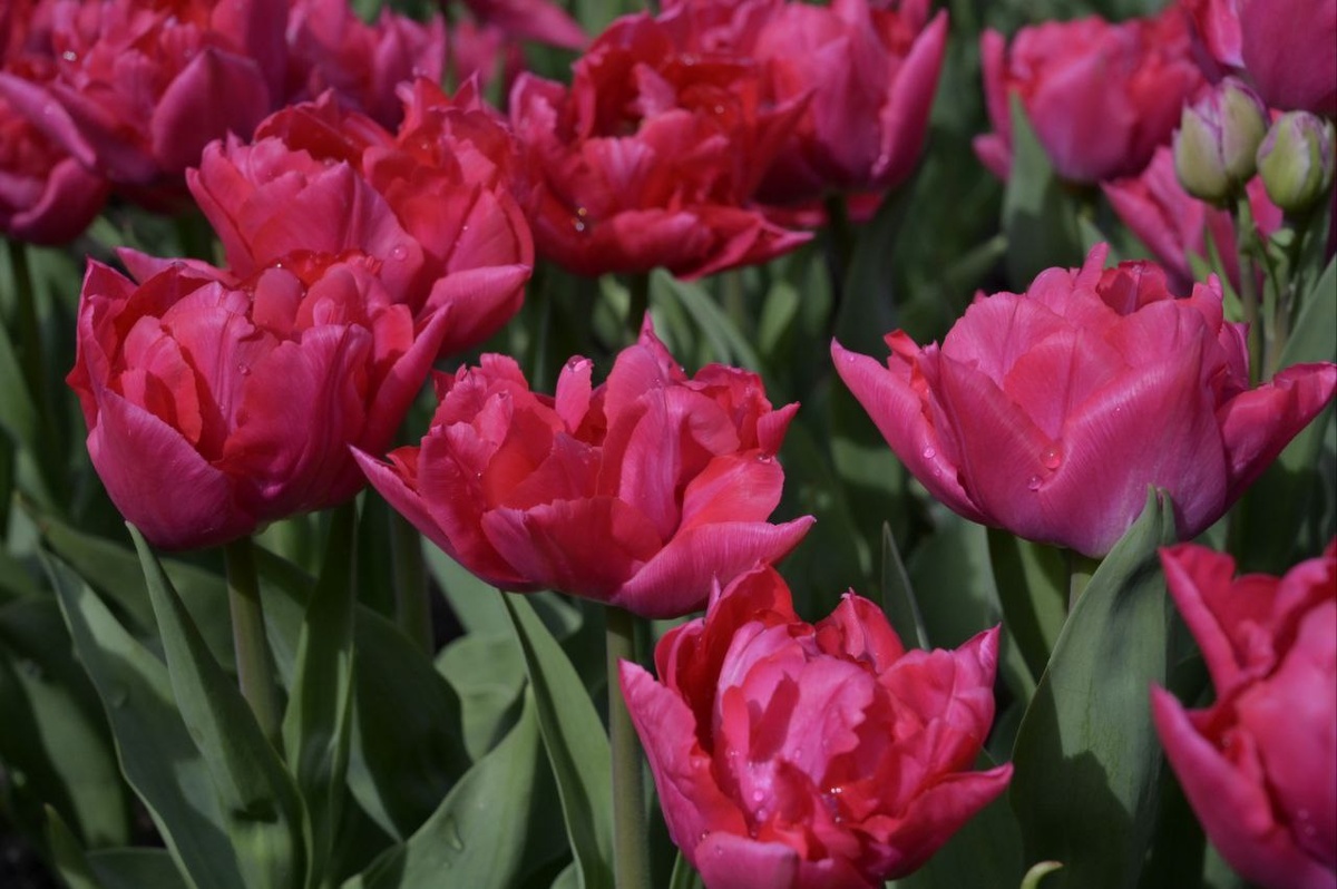 Фото: Гала Амарандо