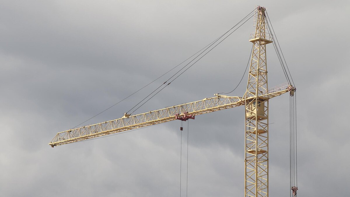    Фото: Maksim Konstantinov/globallookpress.com