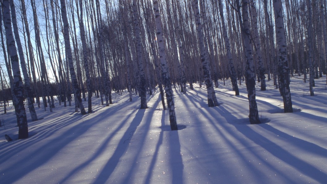    Evgeniy Kanaev/Russian Look/Globallookpress