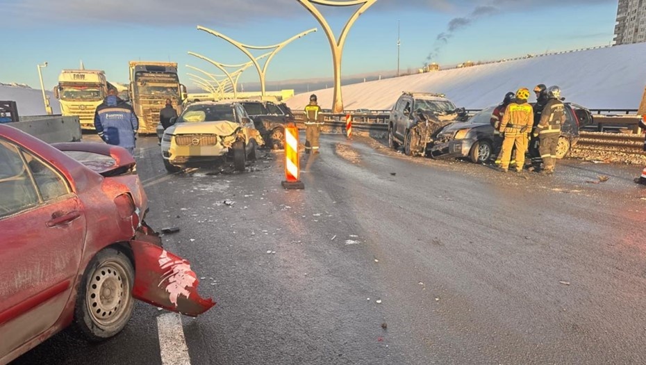    Автор фото: ГУ МВД России по Петербургу