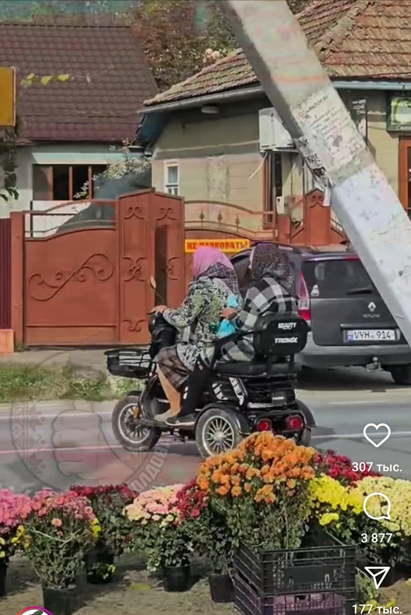 С просторов интернета. Представила сразу меня с напарницей, как мы на работу мчимся. И цветочки в тему. 