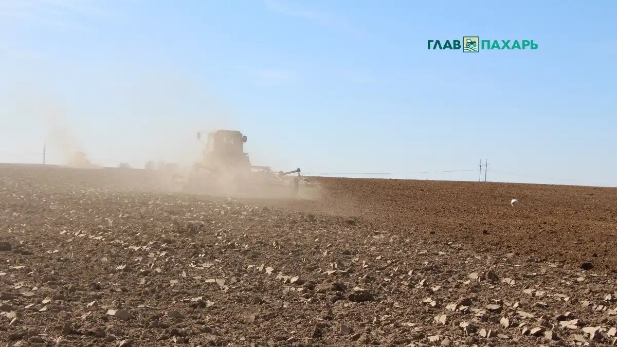 Фото: © Владимир Исаенко / Glavpahar.ru
Фотография носит иллюстративный характер