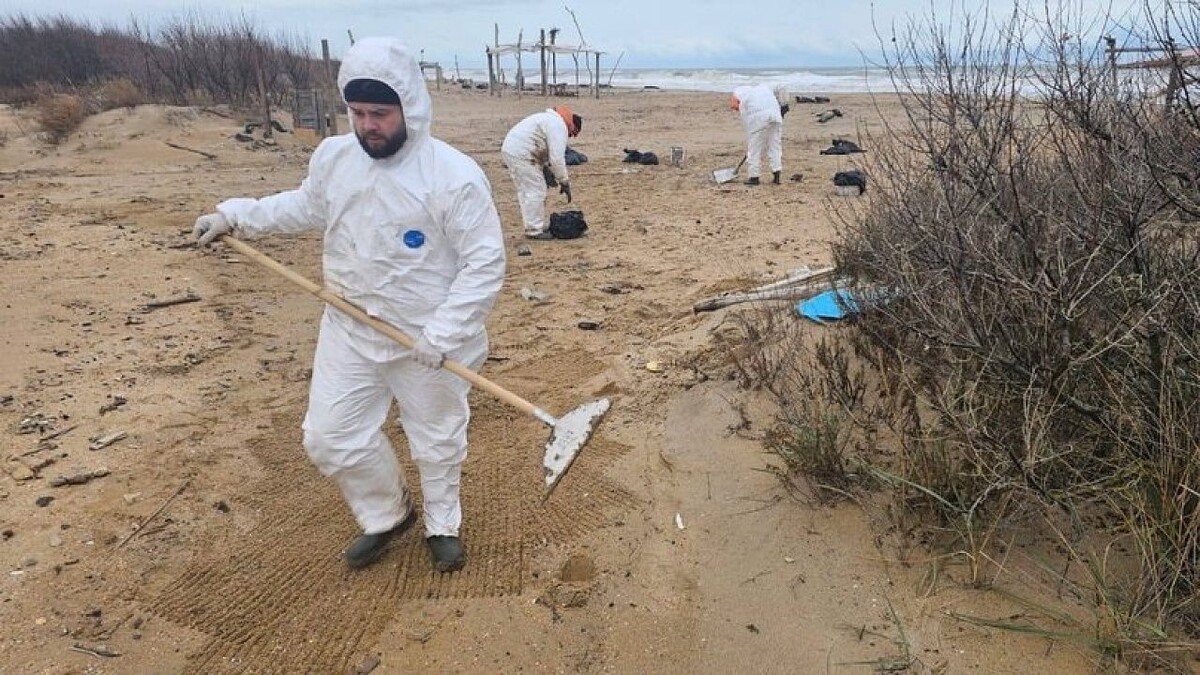    Фото: t.me/morflotru