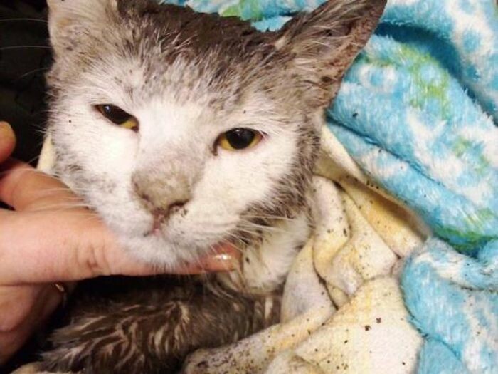 Источник фото: battime.ru