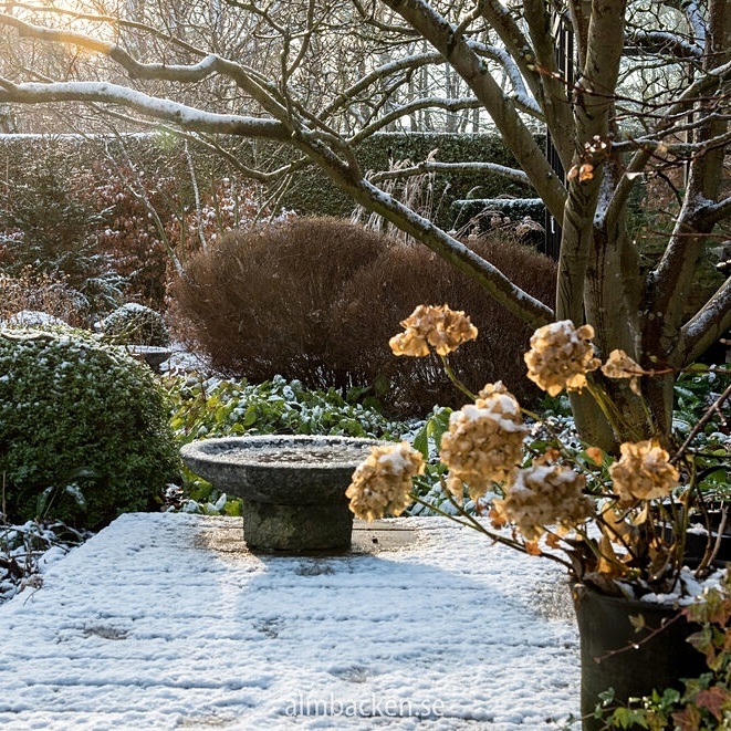 Листайте галерею по стрелке вправо.