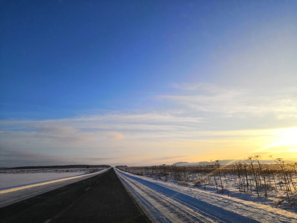    smartcapture Ольга Гилёва