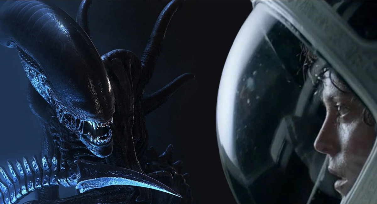 кадр из фильма