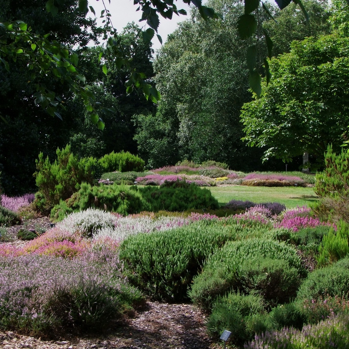 Листайте галерею по стрелке вправо.