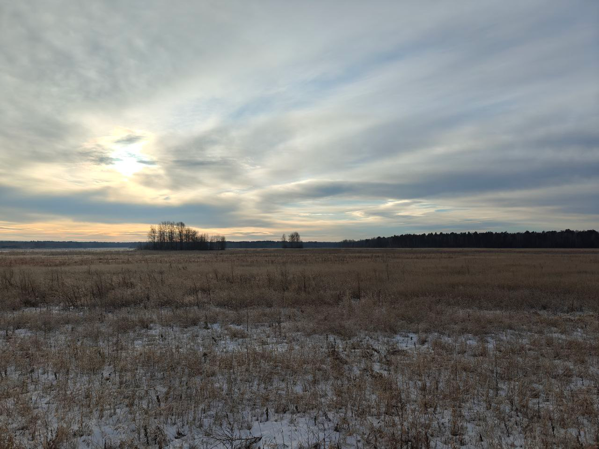 Холодная и мрачная зима