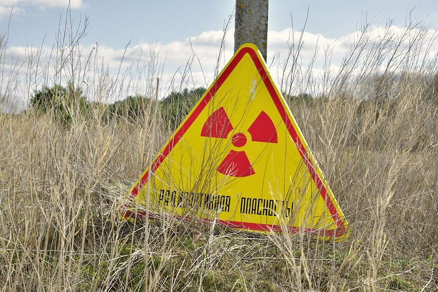    Фото: Shutterstock / Fotodom