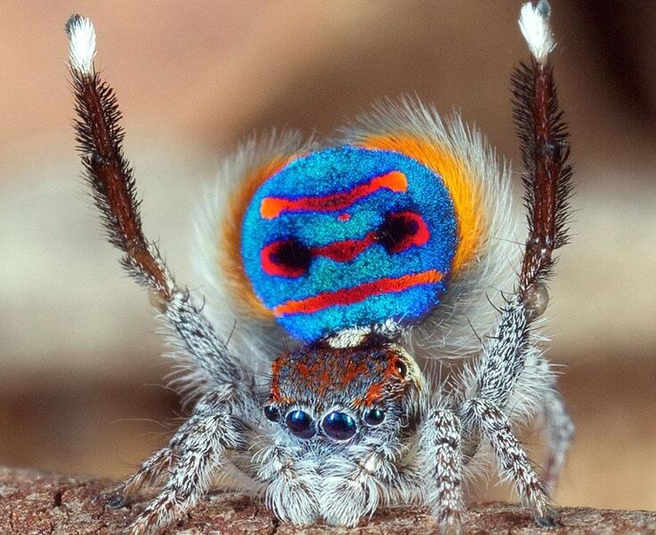 Фото из интернета