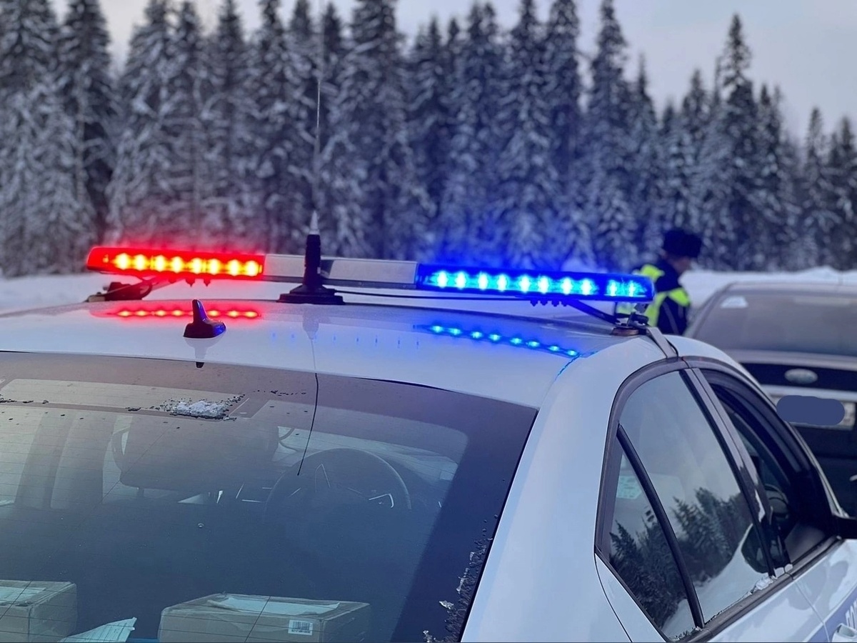    Фото: Госавтоинспекция Карелии