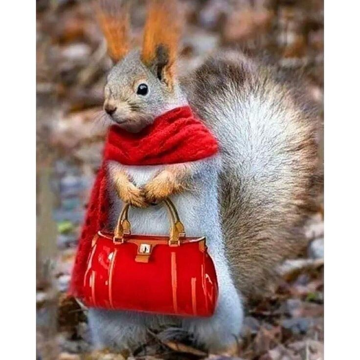 фото из интернета