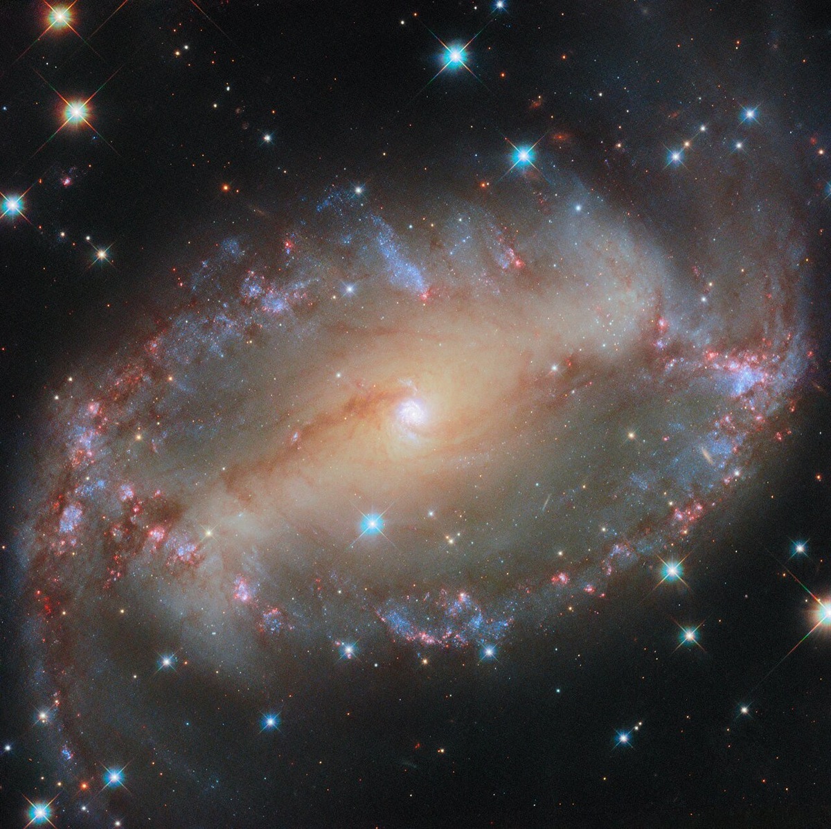Спиральная галактика NGC 2566. Credit:  ESA/Hubble & NASA, D. Thilker.