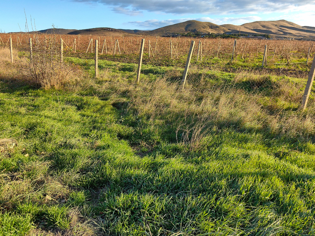 Сегодня. Фото автора канала