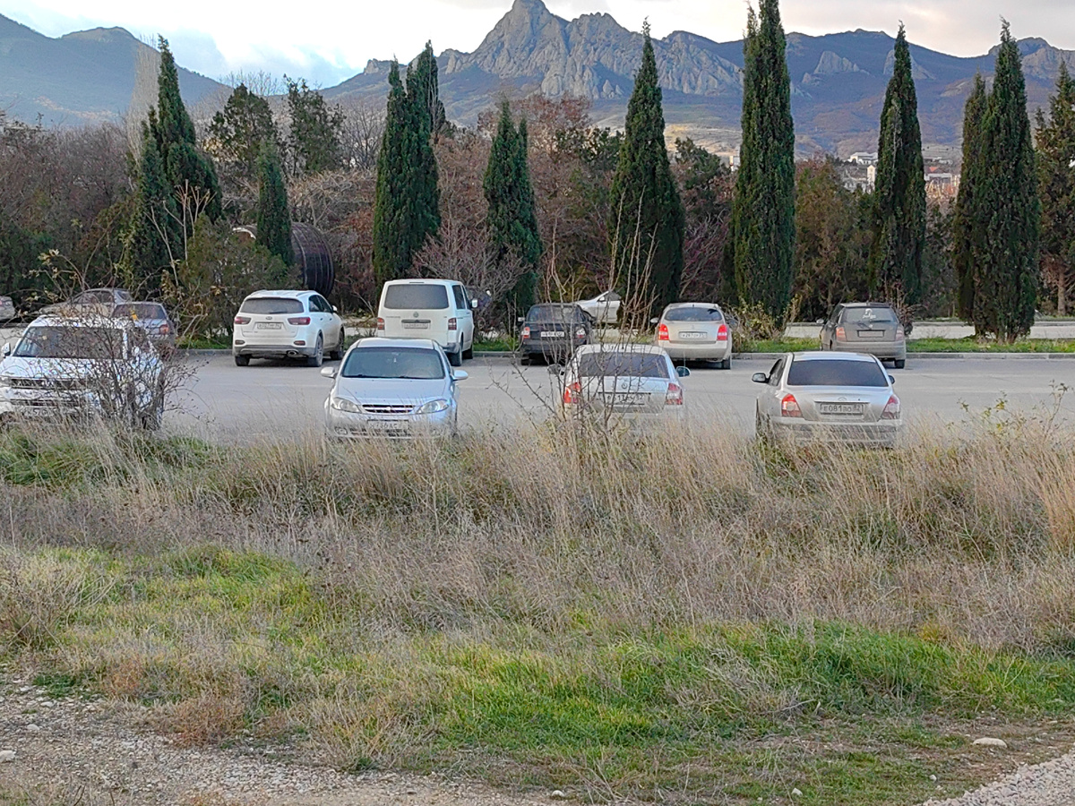 Сегодня. Фото автора канала