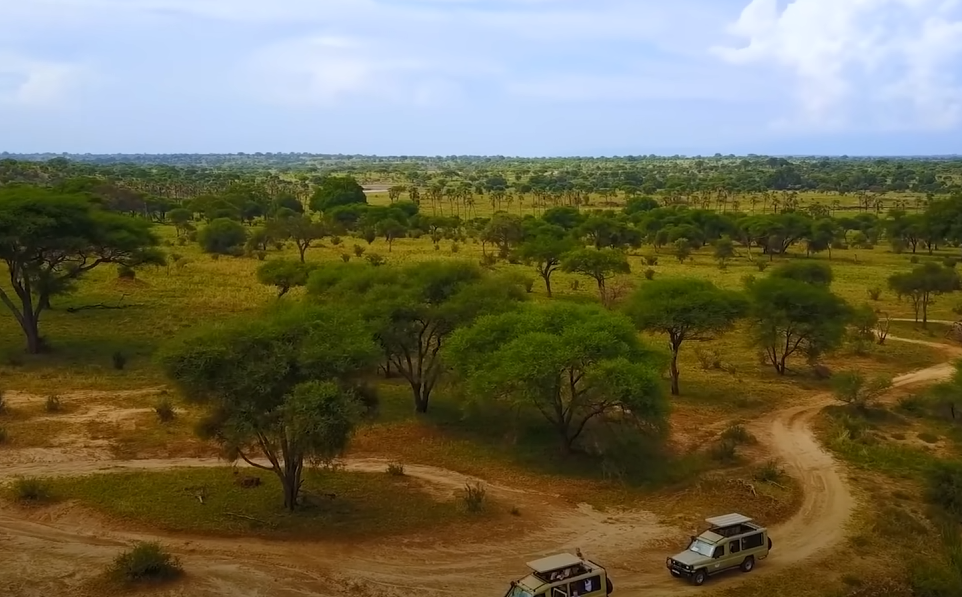 На Мадагаскаре