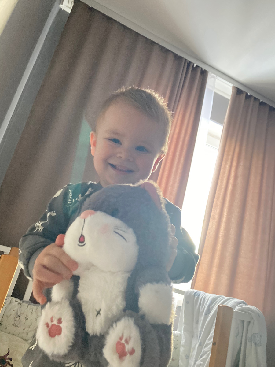 Кошка из новогоднего подарка с работы мужа. Странно конечно, что не змею положили.